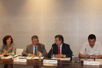 El CES de C-LM dictamina favorablemente el anteproyecto de Ley de Servicios Sociales y el de Familias numerosas