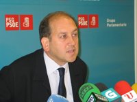 El PSdeG señala que el TC avala usar "nación" y defender el idioma, por lo que urge a reformar el gallego