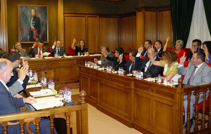 Pleno en la Diputación de Almería