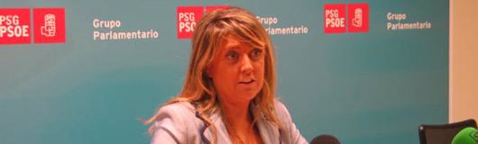 Sestayo avanza el rechazo del PSOE a la "destrucción" del Consorcio