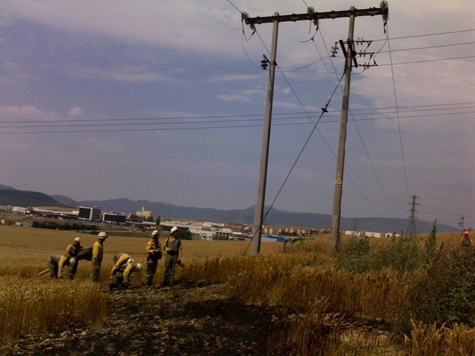 Imagen del tendido eléctrico afectado.