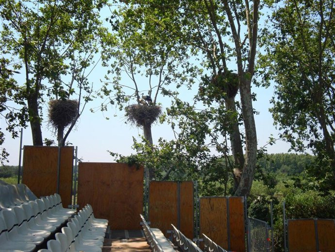 El nuevo espacio del Festival Castell de Peralada