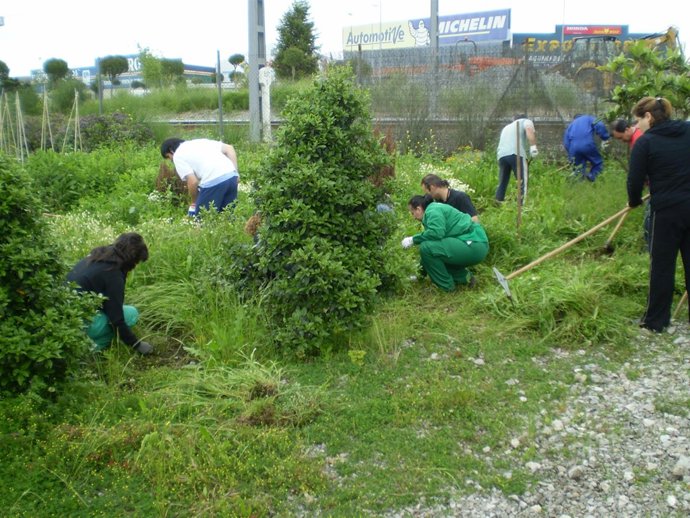 Curso de Jardinería