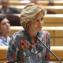 La ministra de Economía, Elena Salgado, en el Pleno del Senado