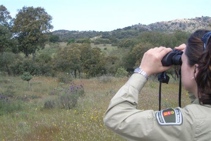 Vigilancia en un monte.
