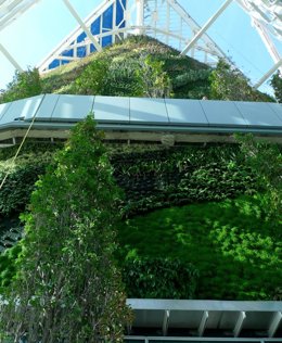 Jardin vertical de Mutua Madrileña