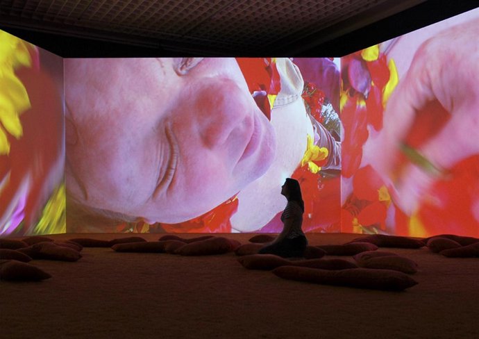 Lungenflügel, intalación de Pipilotti Rist