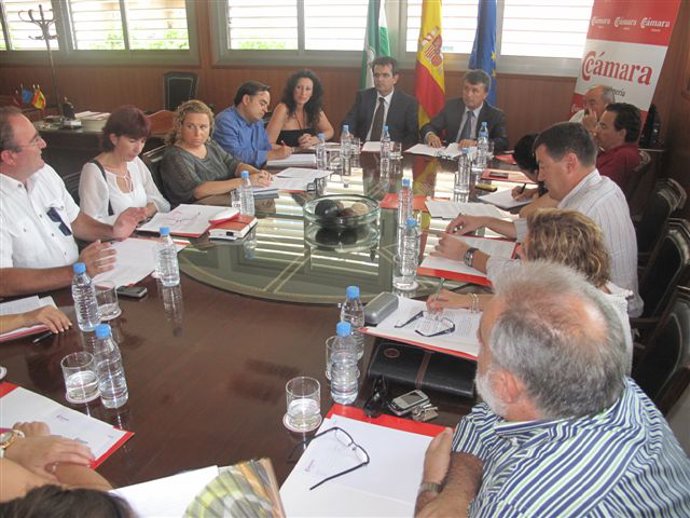 Acto de constitución de la Mesa del Cine