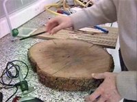 La UE prohibirá la entrada y comercio de madera ilegal