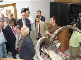 Navarro en Guijo de Santa Bárbara 