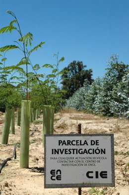 Zona de investigación del Grupo Ence. 