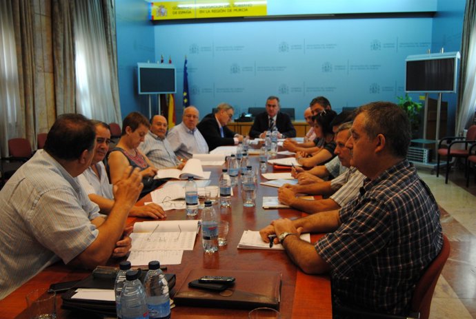 Comisión Regional de Seguimiento de los Consejos Comarcales de Empleo