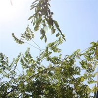 El fin de semana empieza con sol, las nubes se irán el martes