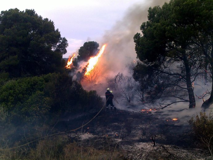 Bomberos de Navarra extinguen un fuego en el Vedado de Eguaras (Valtierra). 