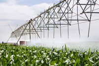 El uso de agua para regadío disminuyó un 11,1% en Castilla-La Mancha en 2008 respecto al año anterior
