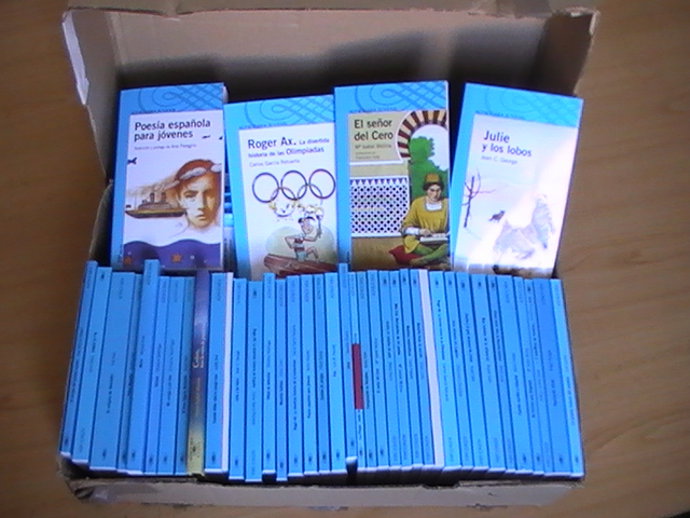 IESMURGI:Notadeprensayfotografíasbibliotecasdeaula