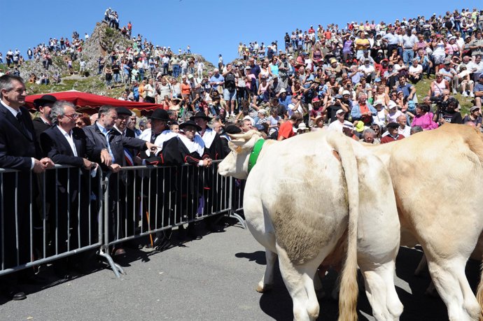 Marcelino Iglesias asiste a la ceremonia del Tributo de las Tres Vacas