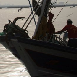 pesquero barco pescador pesca pescado