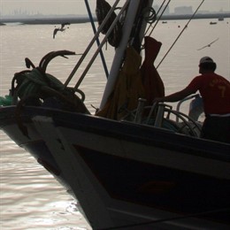 pesquero barco pescador pesca pescado