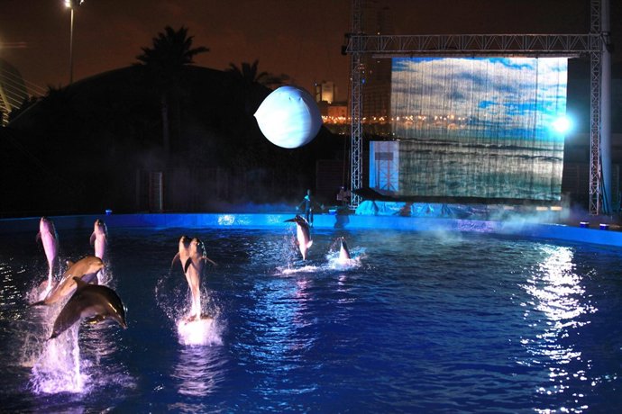 Exhibición nocturna de delfines en el Oceanográfico