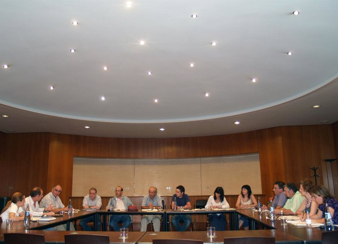 Reunión de la Comisión Ejecutiva de ADELPA