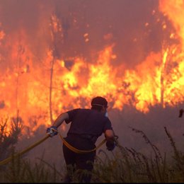 Incendio forestal en A Coruña