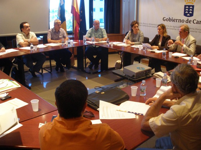 Comisión de Seguimiento del Convenio de Colaboración en materia de Inspección Fi