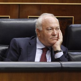 Moratinos, en la sesión de control del gobierno