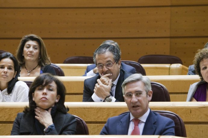 Alarcó: "Canarias Sólo Recibe El 2% Del Presupuesto De Reforestación"