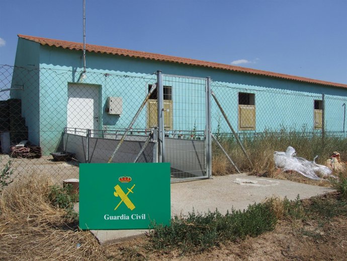 Lugan donde se encontraron los cerdos