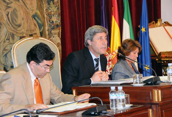 Pulido se dirige al Pleno