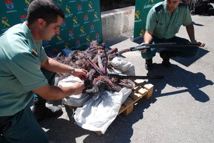 La Guardia Civil detiene a 35 personas implicadas en el robo y receptación de ca