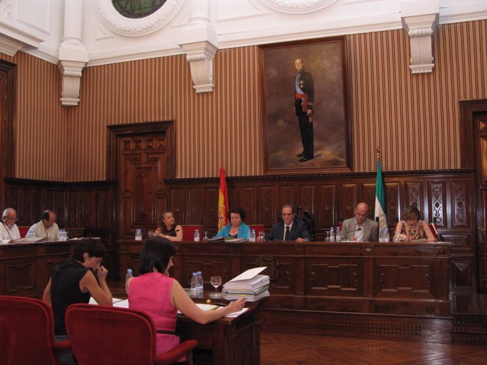 Imagen del Pleno