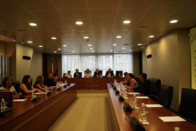 Reunión de la Diputación Permanente de la asamblea Regional