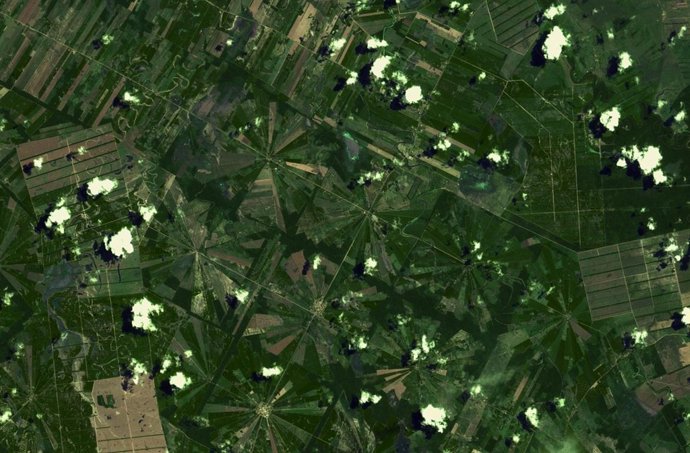 Imagen de deforestación tomada por Deimos 1