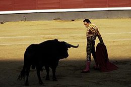 Torero delante del toro