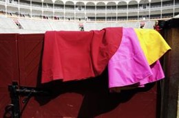 Vista de las gradas desde la barrera