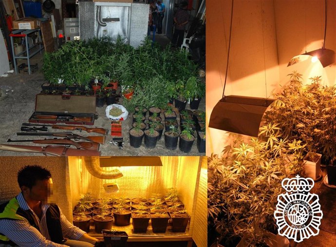 Laboratorio marihuana