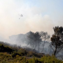 Incendio forestal de Zuera en Zaragoza