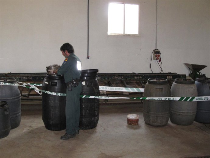 Aceitunas incautadas