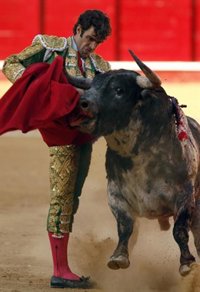 Nuevas Generaciones de La Rioja se muestra favorable a las corridas taurinas como forma de cultura