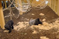 FVT y UGCC colaboran para "dar un respiro" a los agentes vascos, que pasarán un día con sus familias en Cabárceno