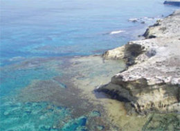 Imagen del Mar de Alborán