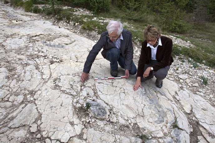 Descubren en Francia las mayores huellas de dinosaurio de Europa
