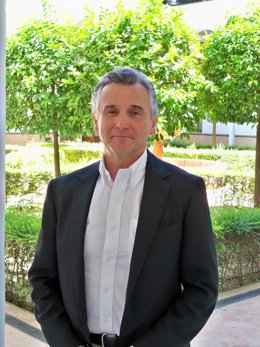 El consejero de Cultura de la Junta de Andalucía, Paulino Plata