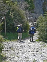 Más de 136.500 peregrinos recibieron la Compostela en lo que va de año, un 50% más que en el Xacobeo 2004