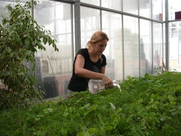 Mercedes Verdeguer en el invernadero