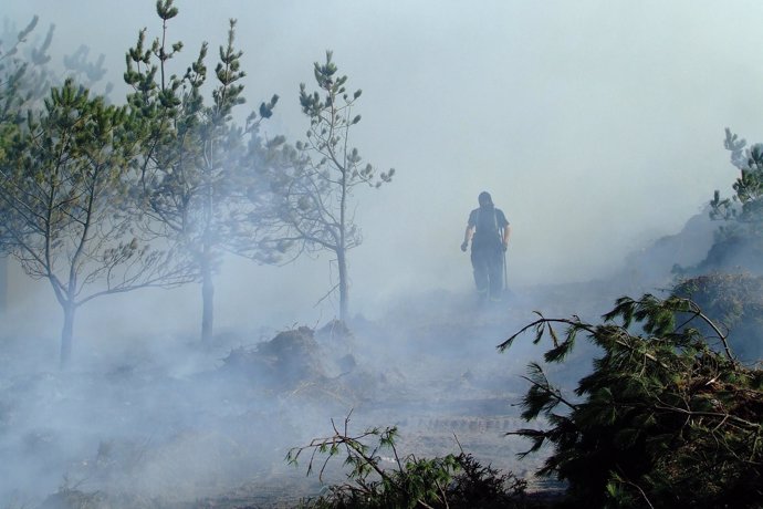 Brigadas en tareas de extinción de un incendio forestal