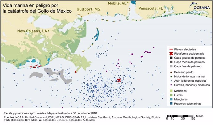 Mapa de la vida marina afectada en el Golfo de México