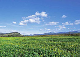 El Gobierno de Navarra subvenciona con 5,1 millones la modernización de explotac